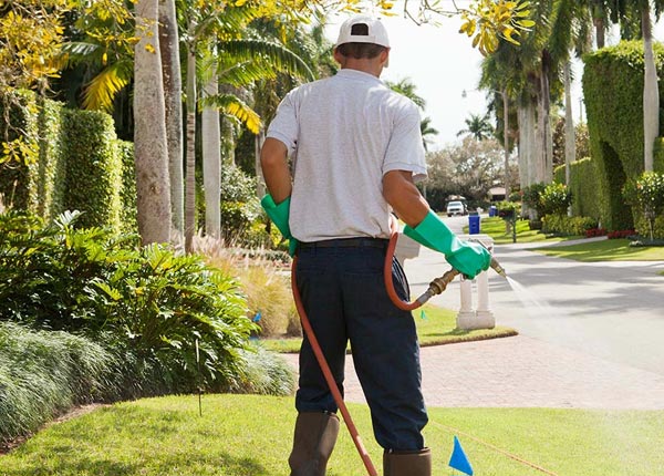 About Otter Creek FL Pest Control